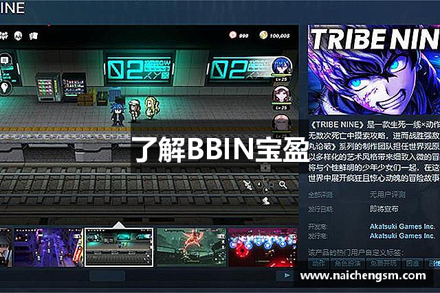 了解BBIN宝盈